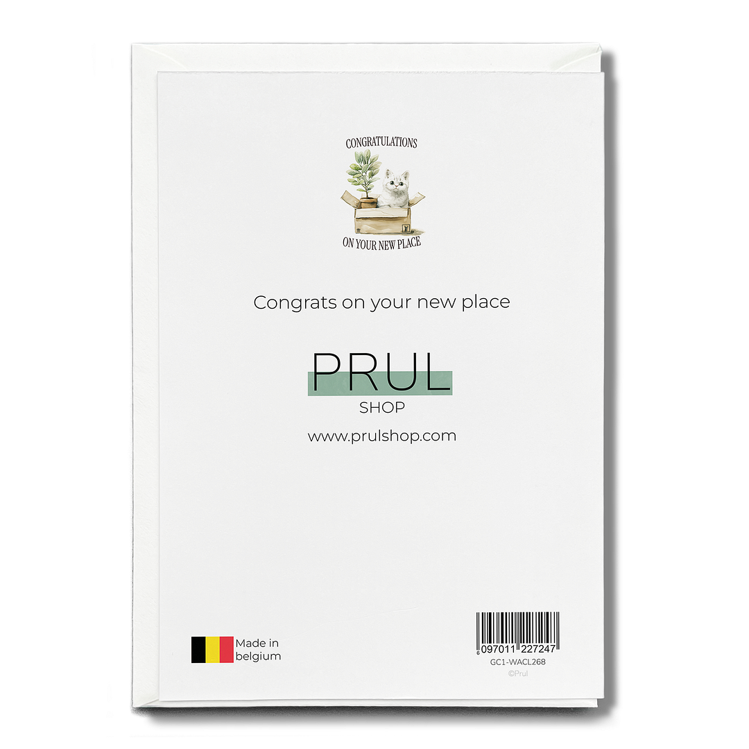 Congrats on your new place - Greeting Card
