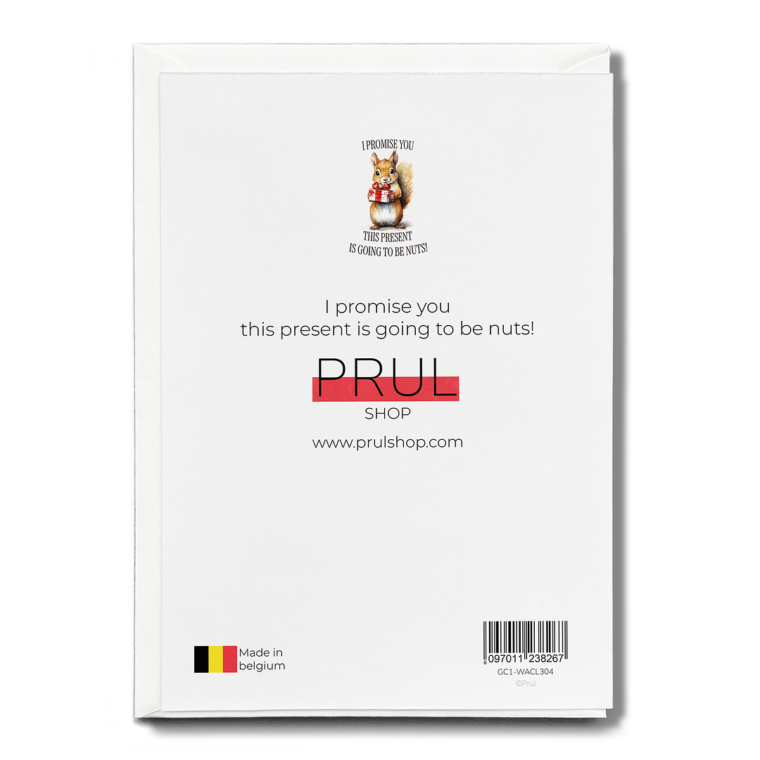 I promise you this present is going to be nuts! - Greeting Card