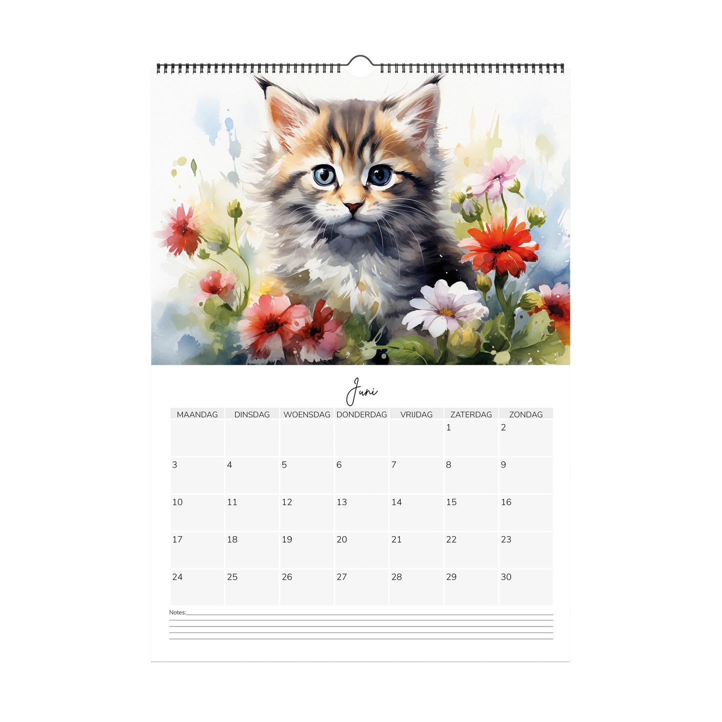 Watercolour kitten Calendar 2024