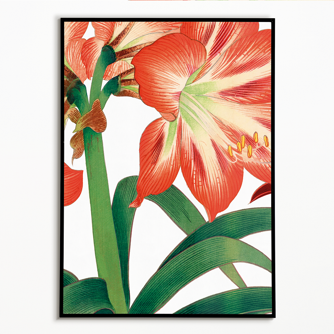 Amaryllis flower By Tanigami Kônan Art-Print