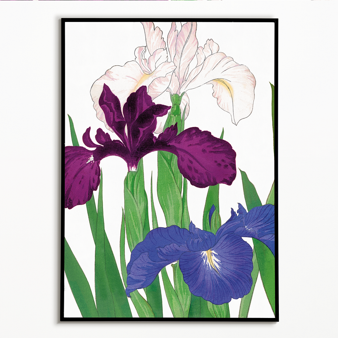 Iris By Tanigami Kônan Art-Print
