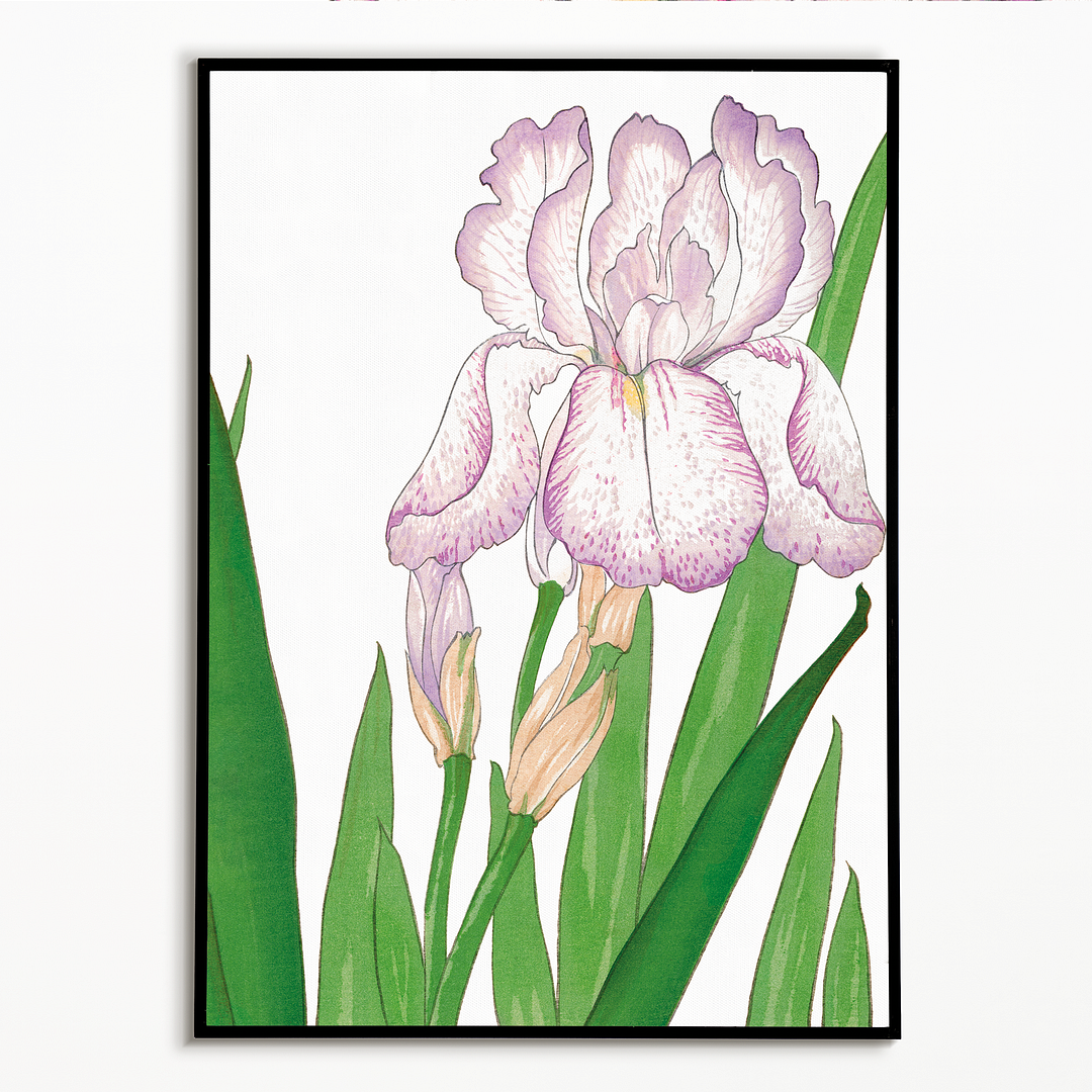 Iris flower By Tanigami Kônan Art-Print