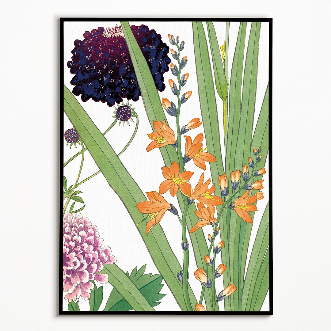 Scabiosa & Montbretia By Tanigami Kônan Art-Print