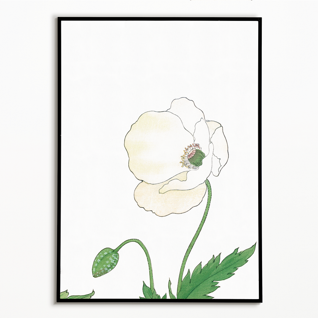 White Poppie By Tanigami Kônan Art-Print