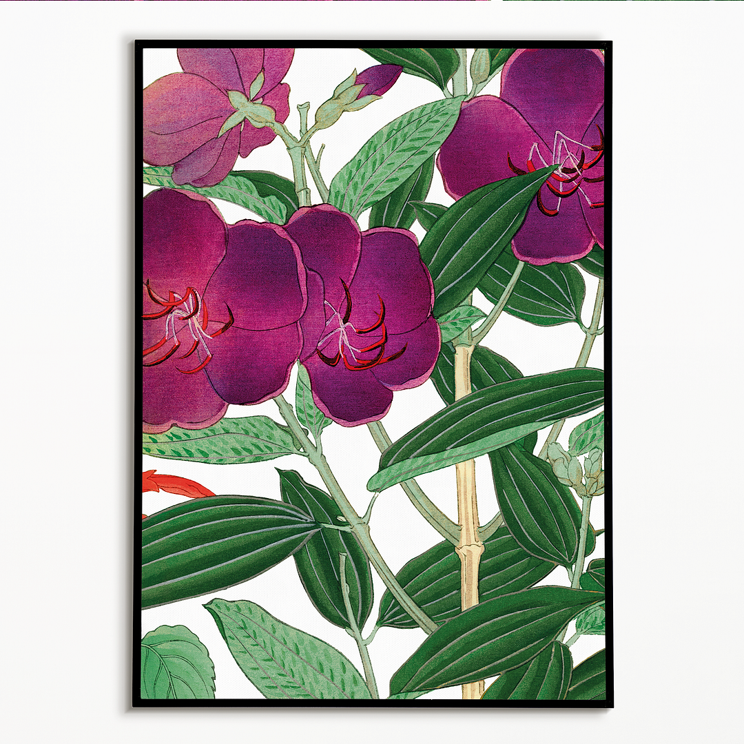 Melastoma By Tanigami Kônan Art-Print