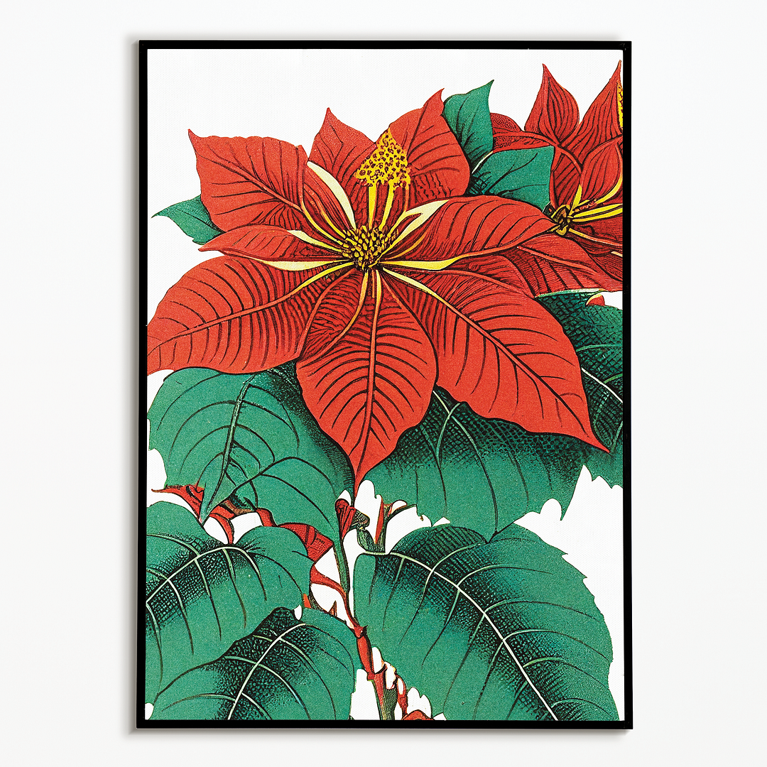 Amaryllis Art-Print