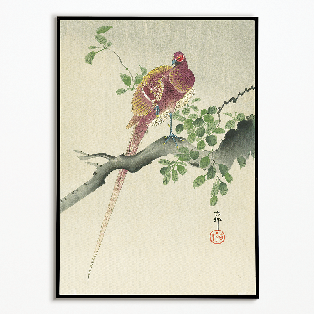 Copper Pheasant By Ohara Koson - Art Print