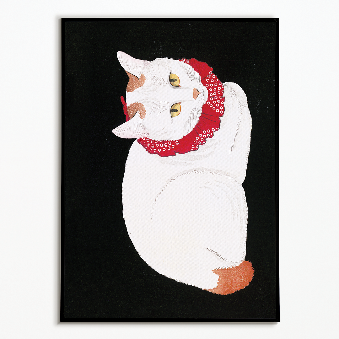 Shironeko by Takahashi Hiroaki - Art Print