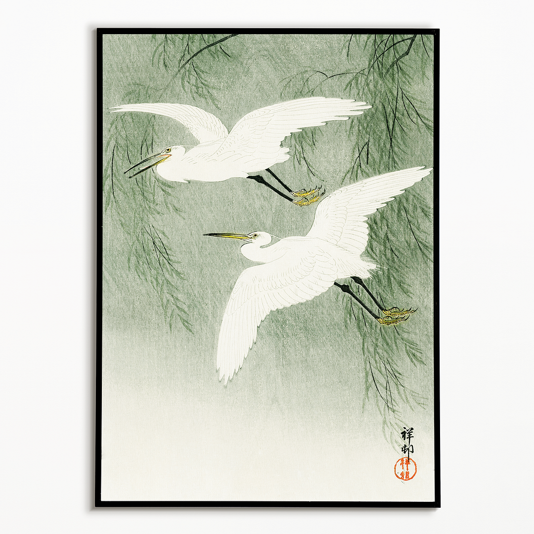 Little Egrets in flight by Ohara Koson - Art Print