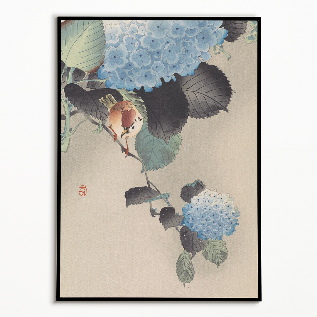 Sparrow and blue-white hortensia by Ohara Koson - Art Print