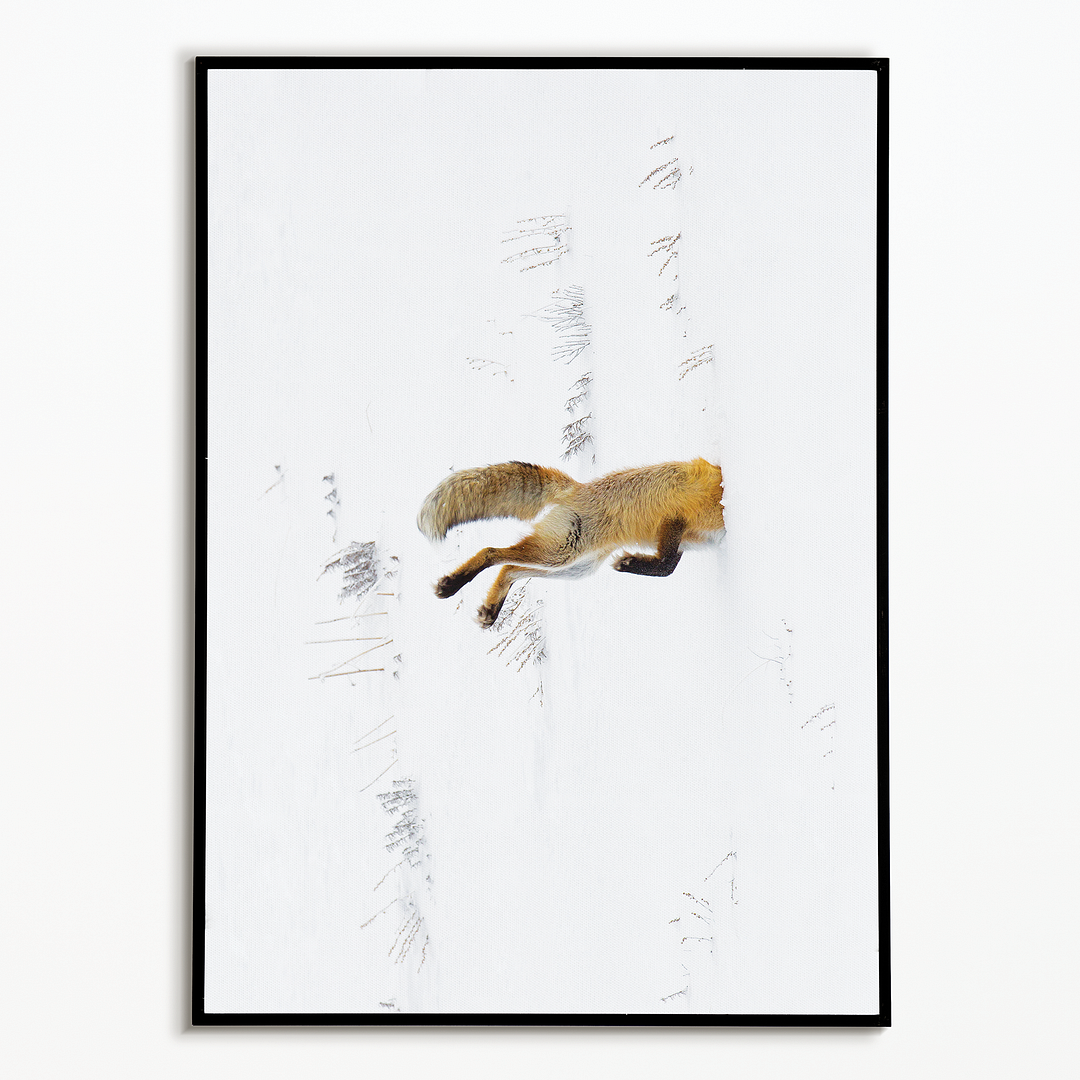 Snow Dive - Art Print