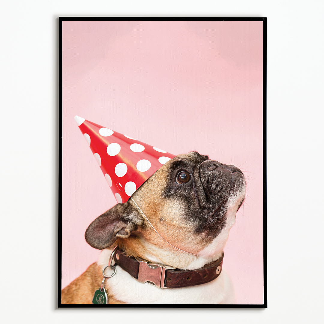 Frenchy with a party hat - Art Print