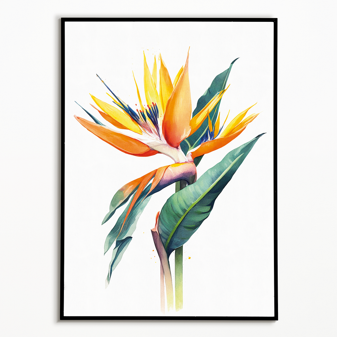 Strelitzia III - Art Print