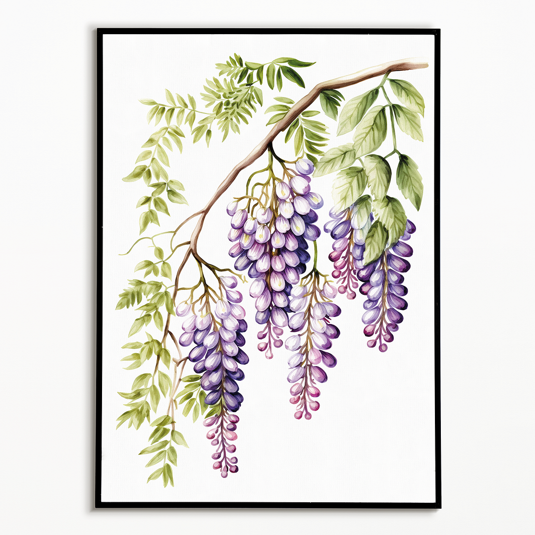 wisteria 1 - Art Print