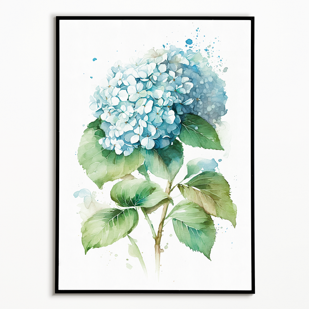 Hydrangea 4 - Art Print