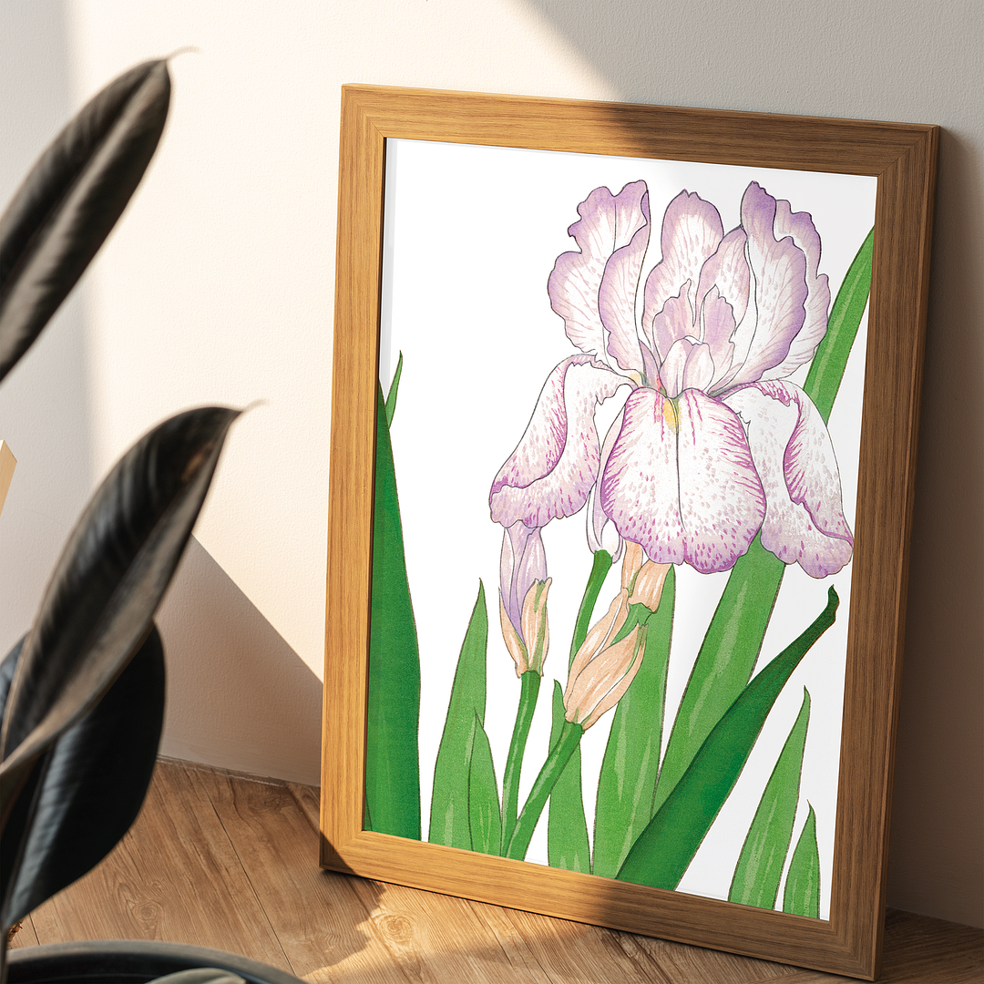 Iris flower By Tanigami Kônan Art-Print