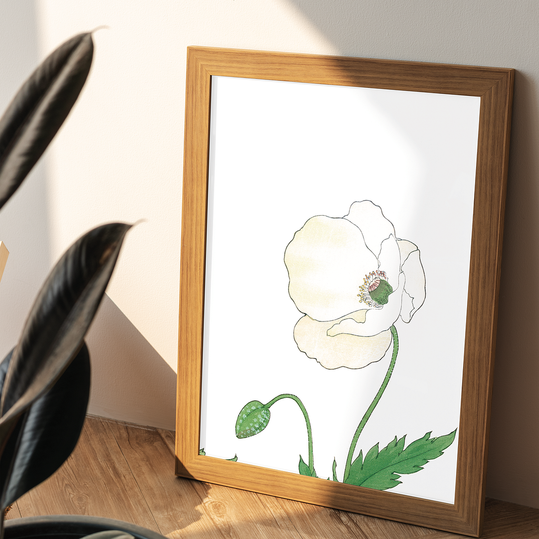 White Poppie By Tanigami Kônan Art-Print