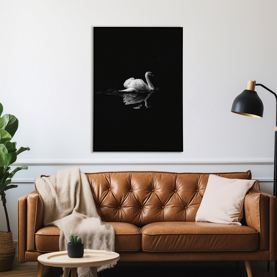 swan floating on water - Art Print