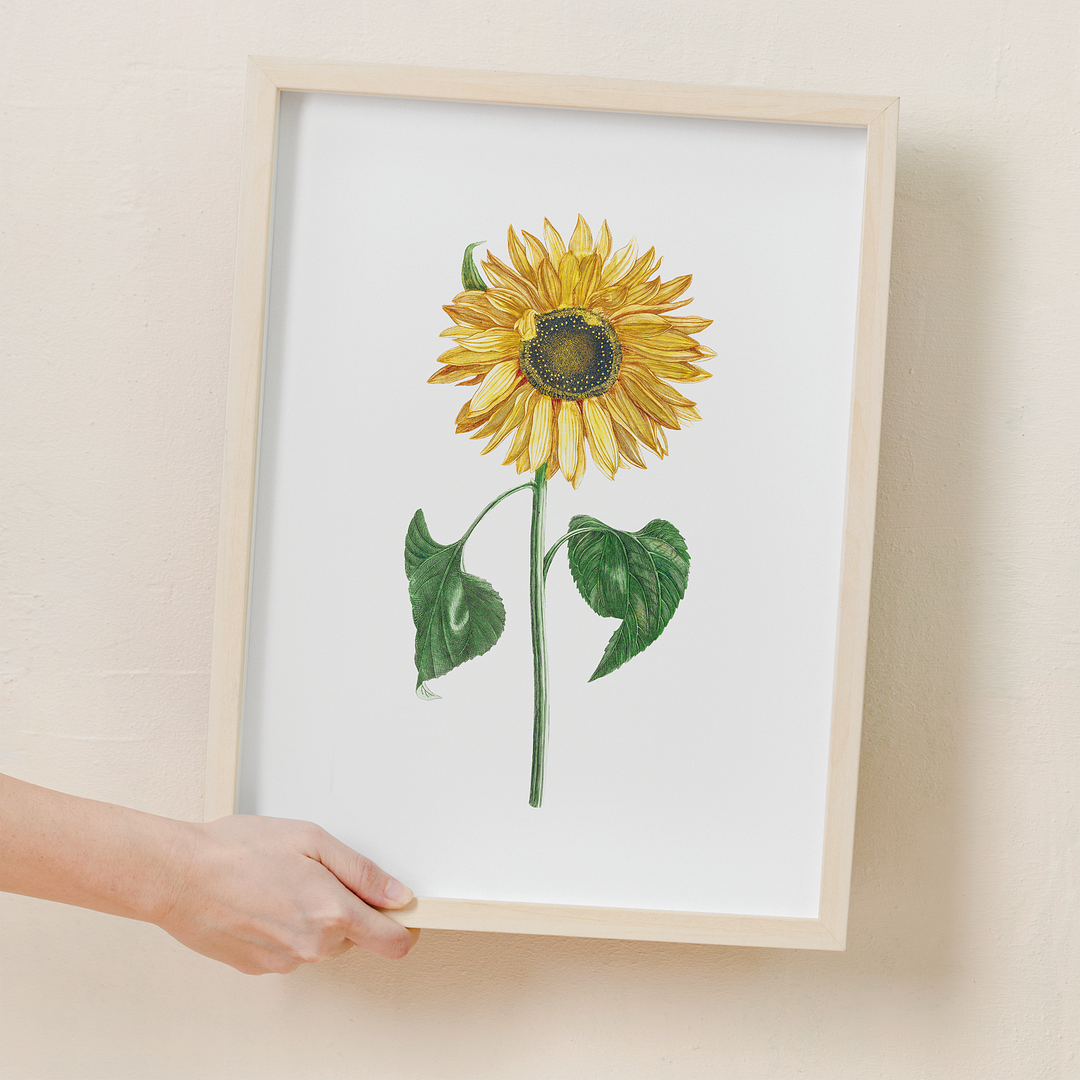 A sunflower by Johan Teyler - Art Print