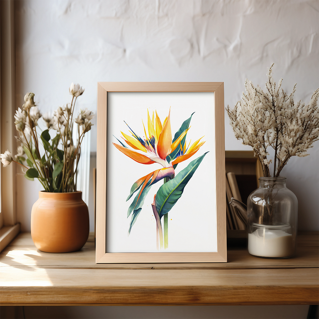 Strelitzia III - Art Print