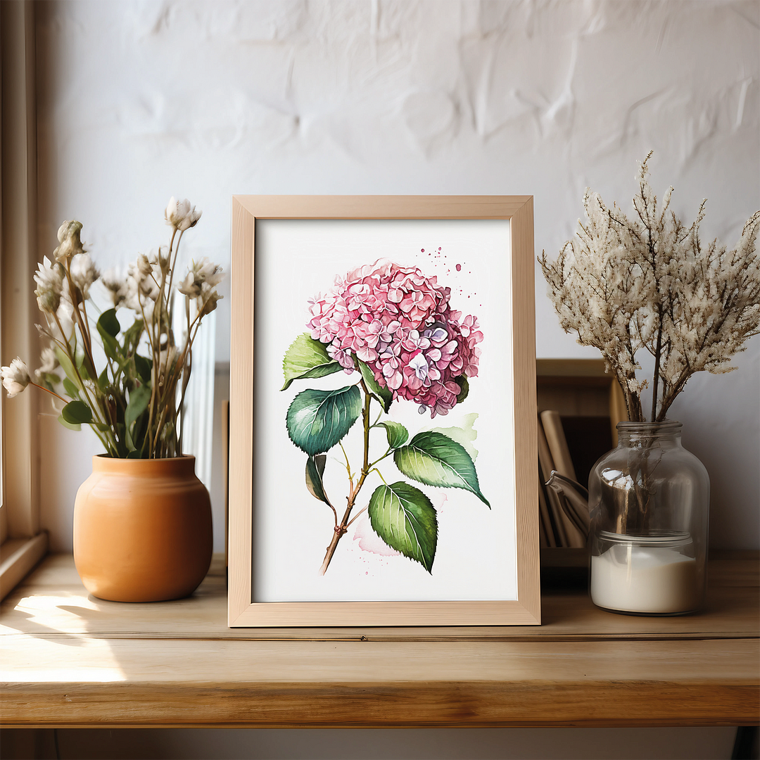 Hydrangea 1 - Art Print