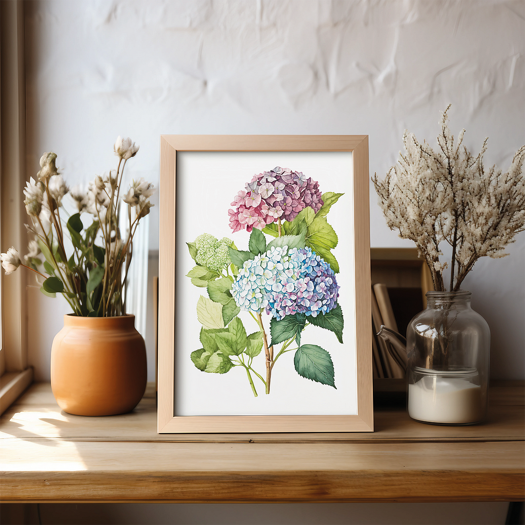 Hydrangea 2 - Art Print