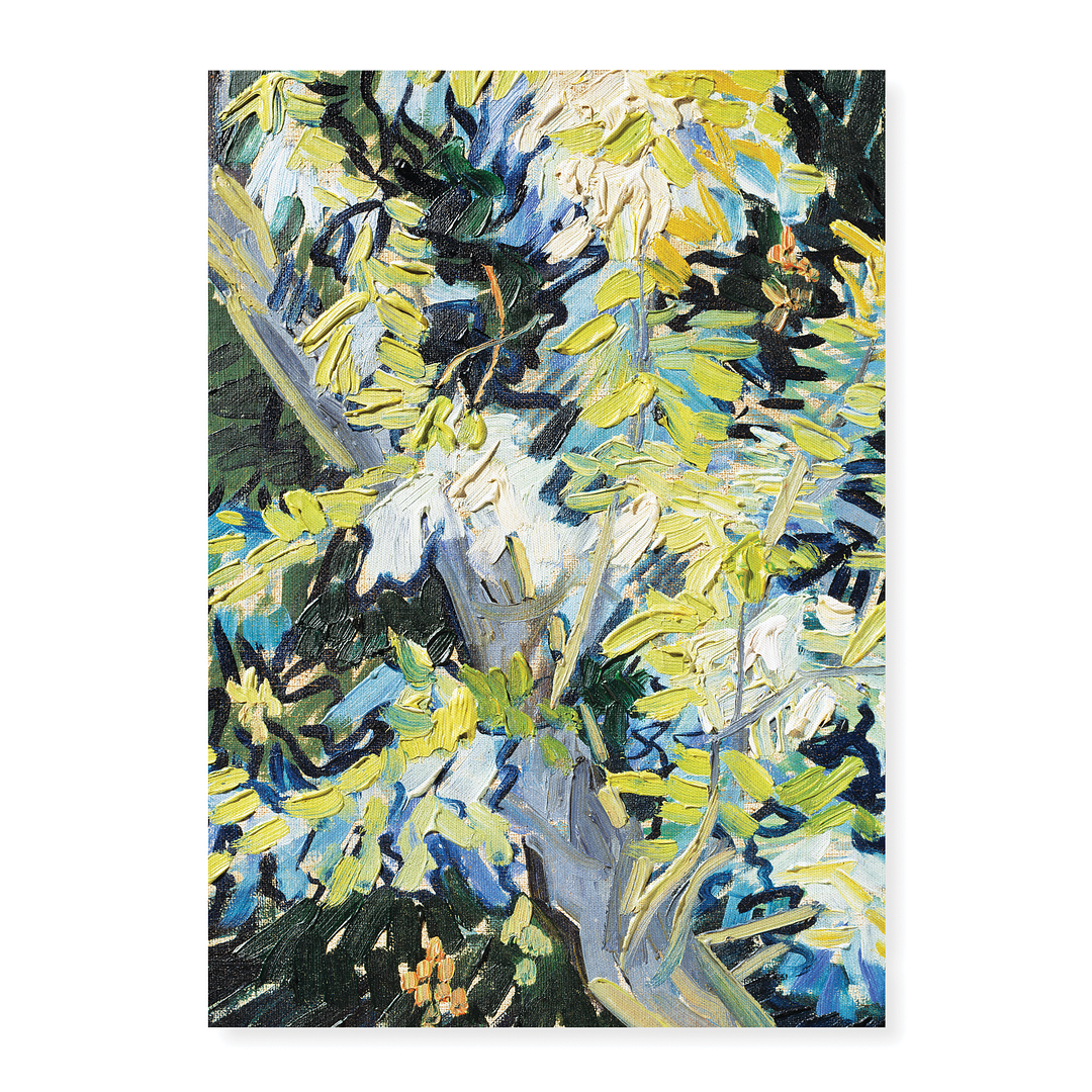 Blossoming Acacia Branches By Van Gogh - Art Print