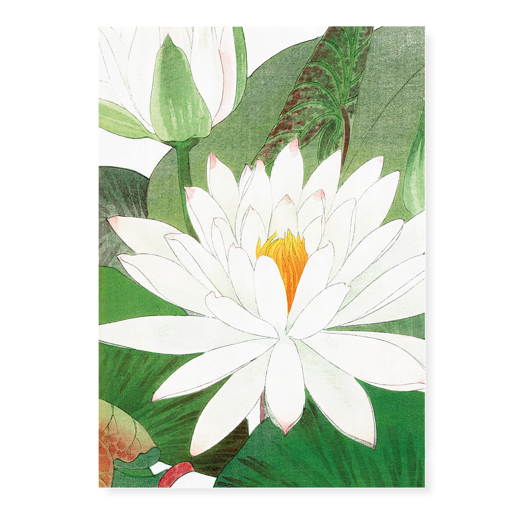 Witte lotus By Tanigami Kônan Art-Print