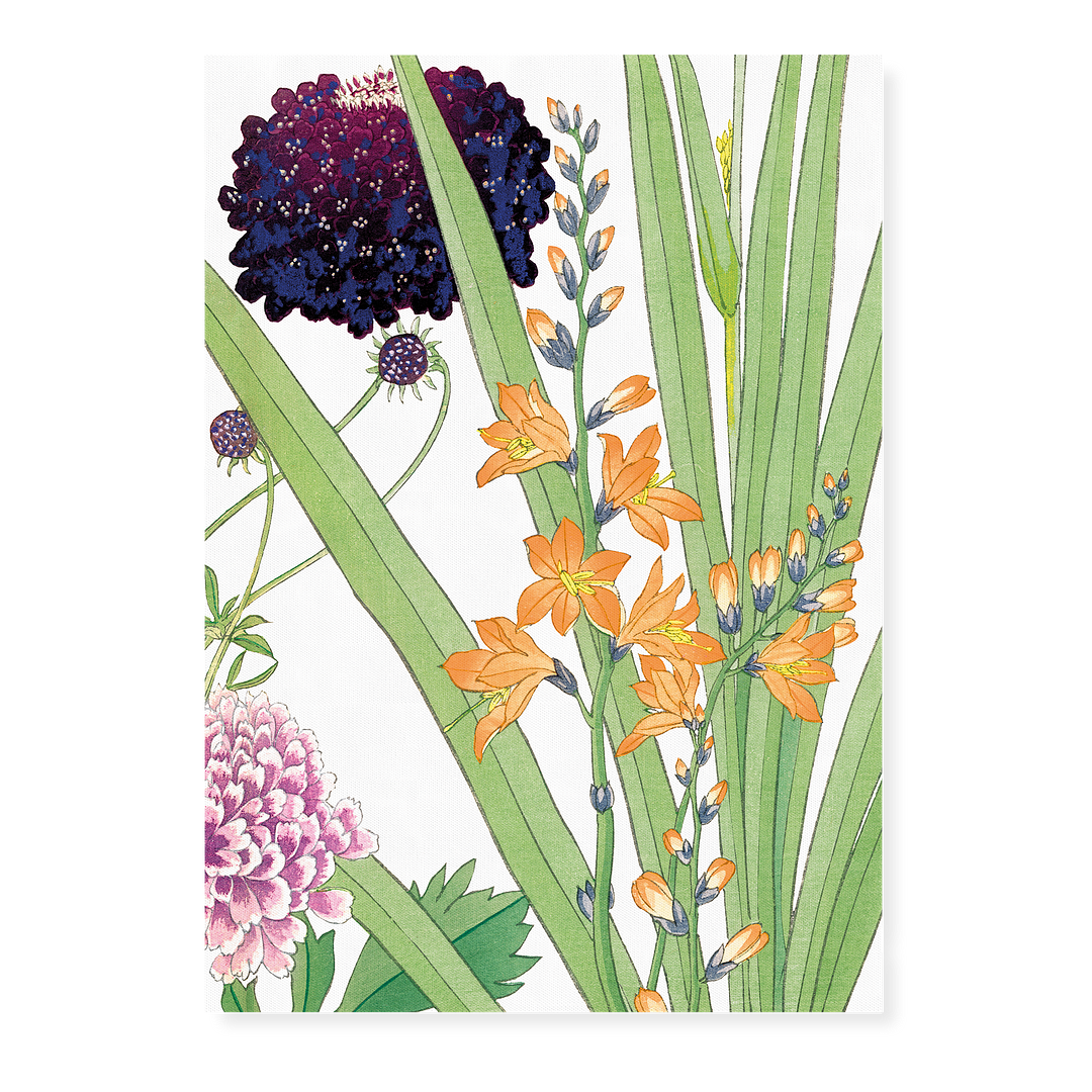 Scabiosa & Montbretia By Tanigami Kônan Art-Print