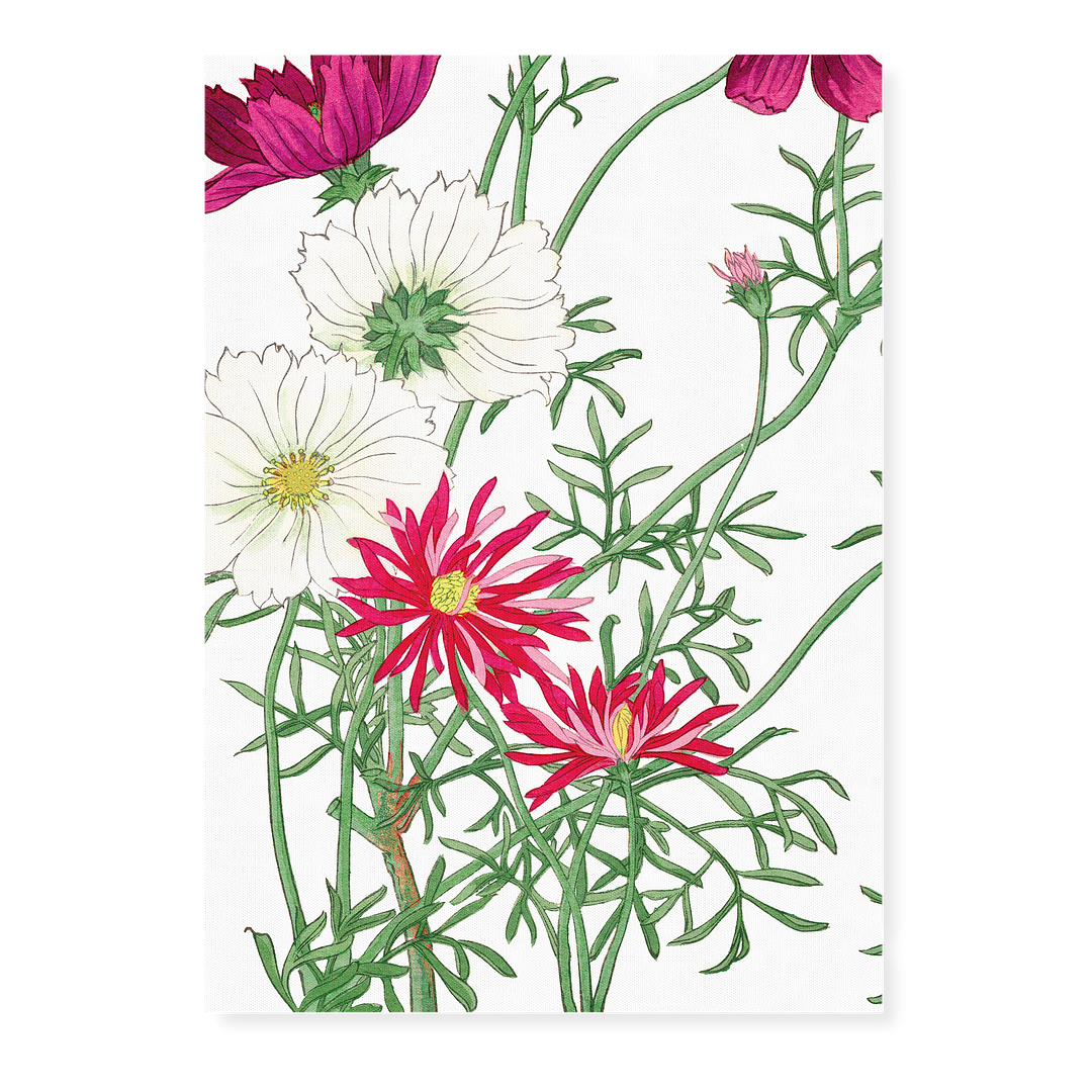Cosmos By Tanigami Kônan Art-Print