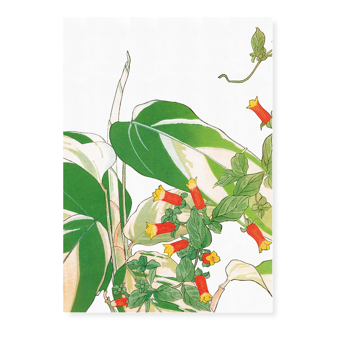 Maranta & Manettia By Tanigami Kônan Art-Print