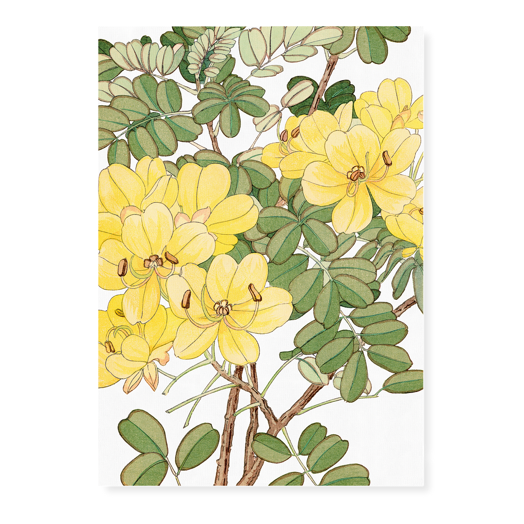 Allamanda By Tanigami Kônan Art-Print