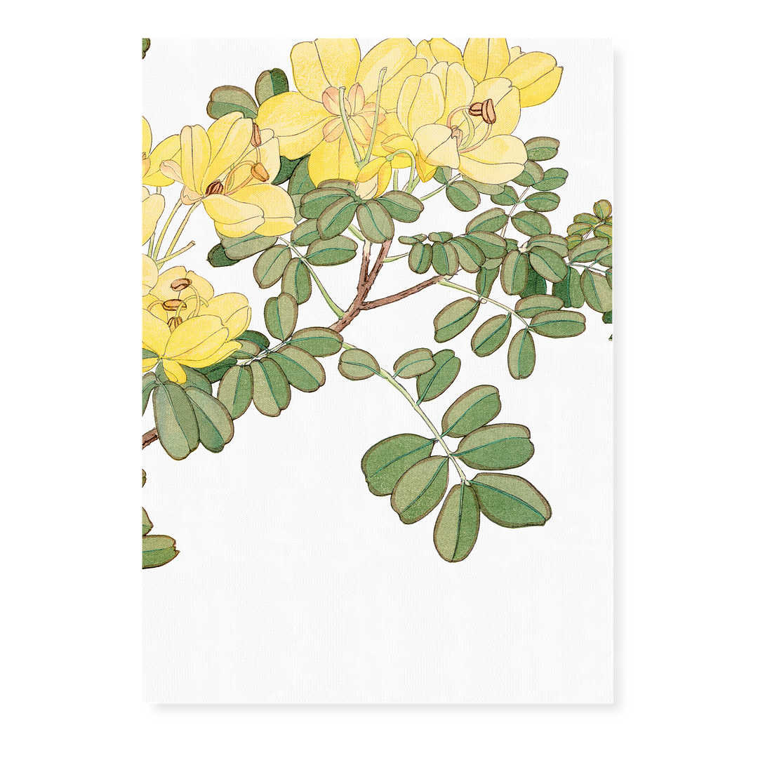 Allamanda Flower By Tanigami Kônan Art-Print