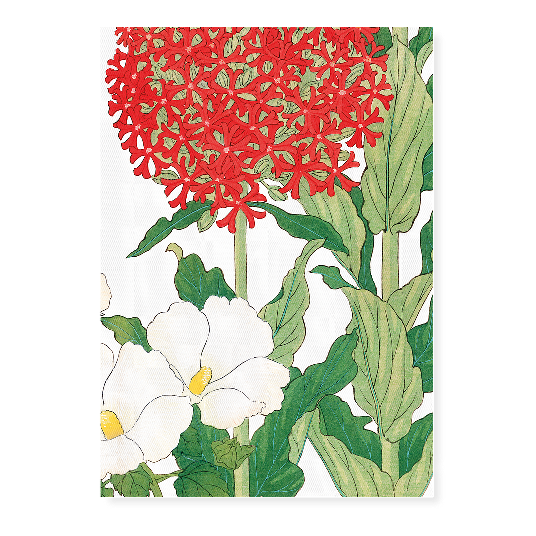 Mallow & Jerusalem Cross Flower By Tanigami Kônan Art-Print