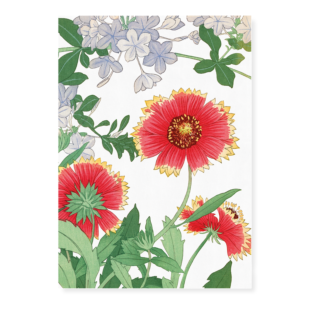 Blanket flower & Plumbago By Tanigami Kônan Art-Print