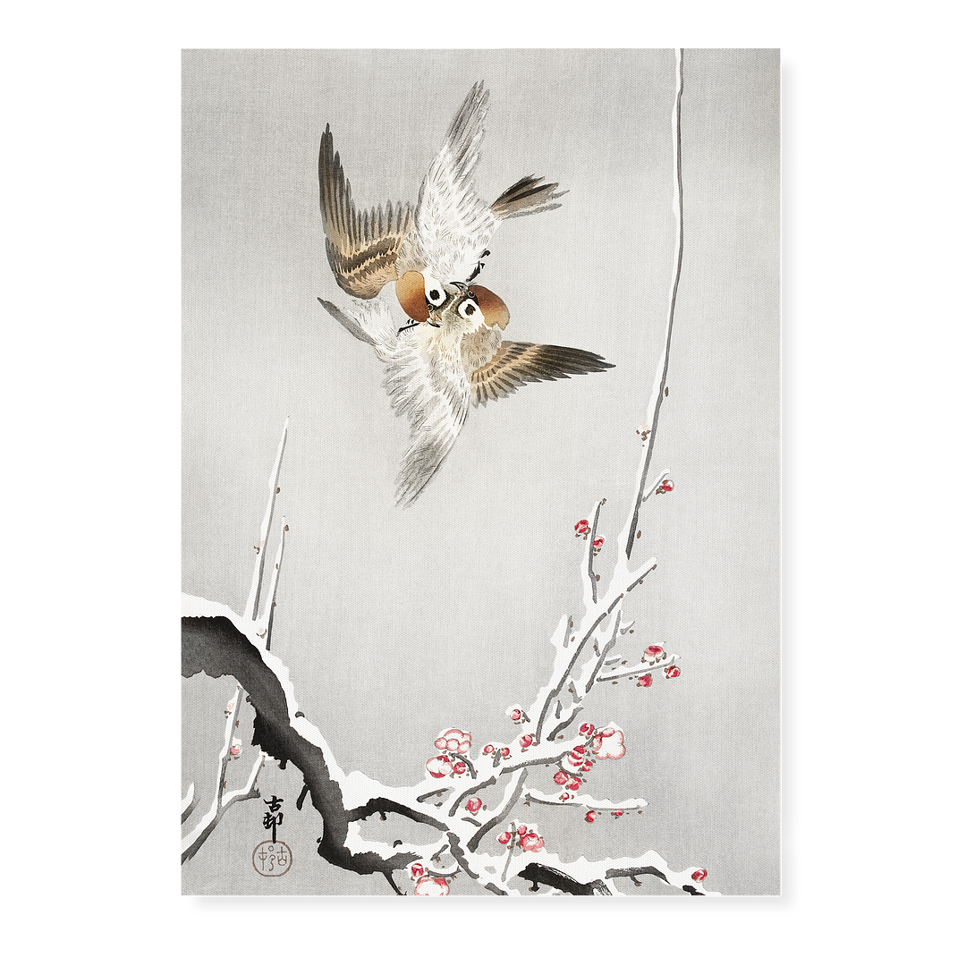 Sparrows and snowy plum tree By Ohara Koson - Art Print