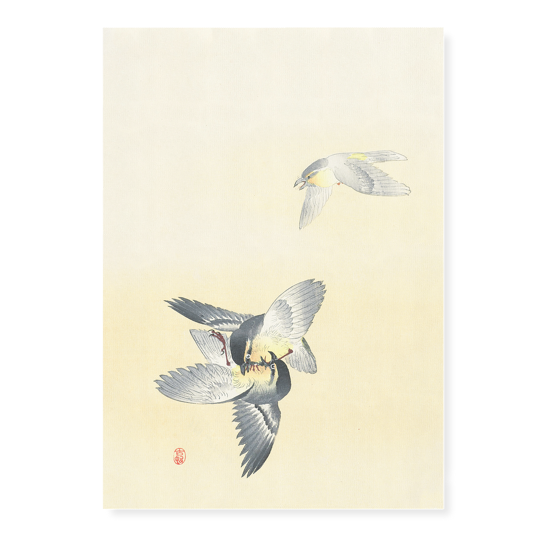 Two fighting birds By Ohara Koson - Art Print