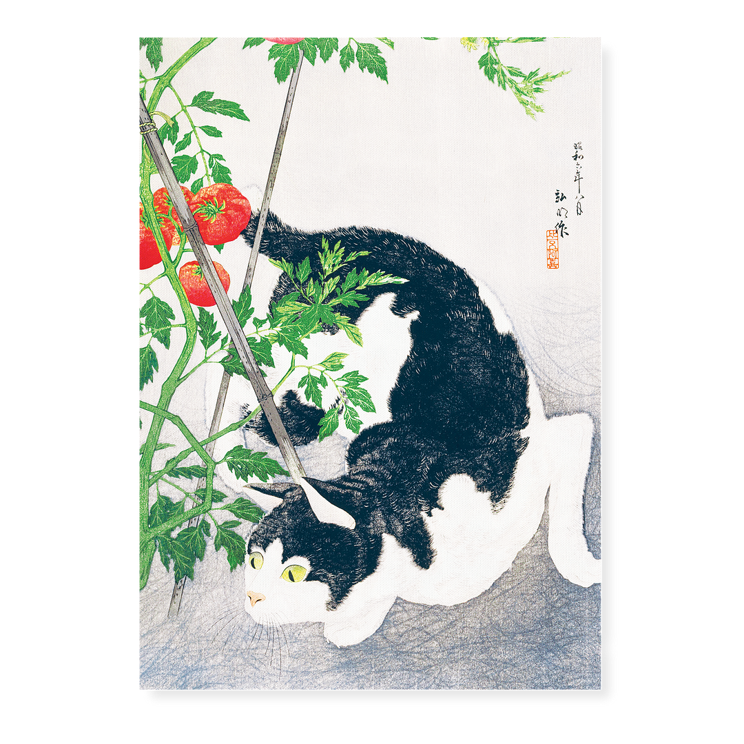 Cat with Tomato Plant By Hiroaki Takahashi - Art Print