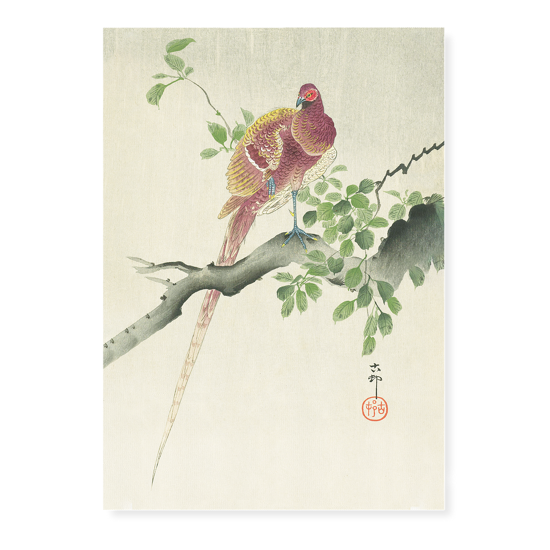 Copper Pheasant By Ohara Koson - Art Print