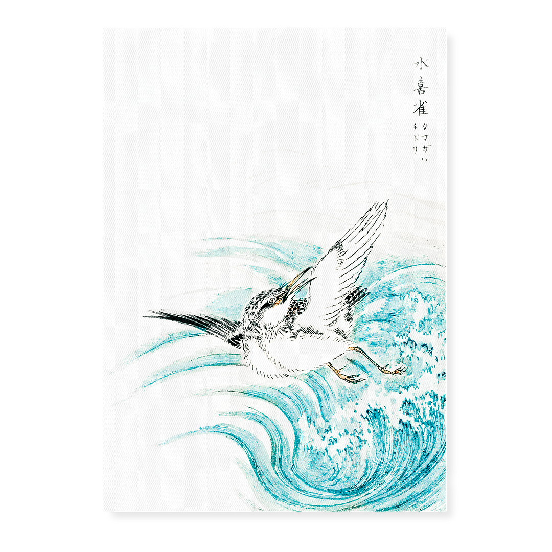 Mongolian Plover By Numata Kashu - Art Print