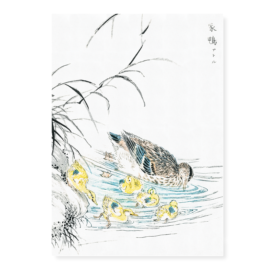 Duck By Numata Kashu - Art Print
