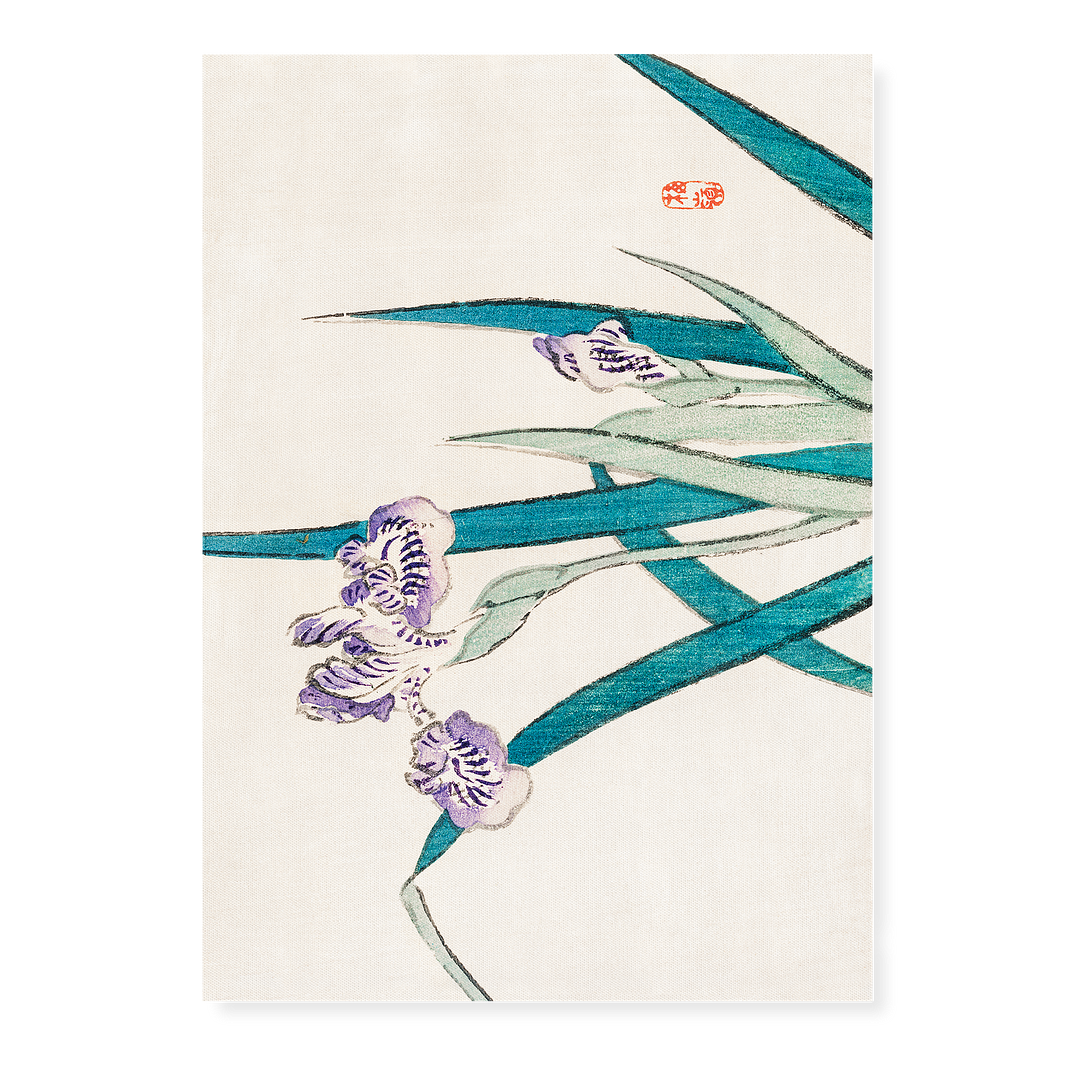 Irises by Kōno Bairei - Art Print