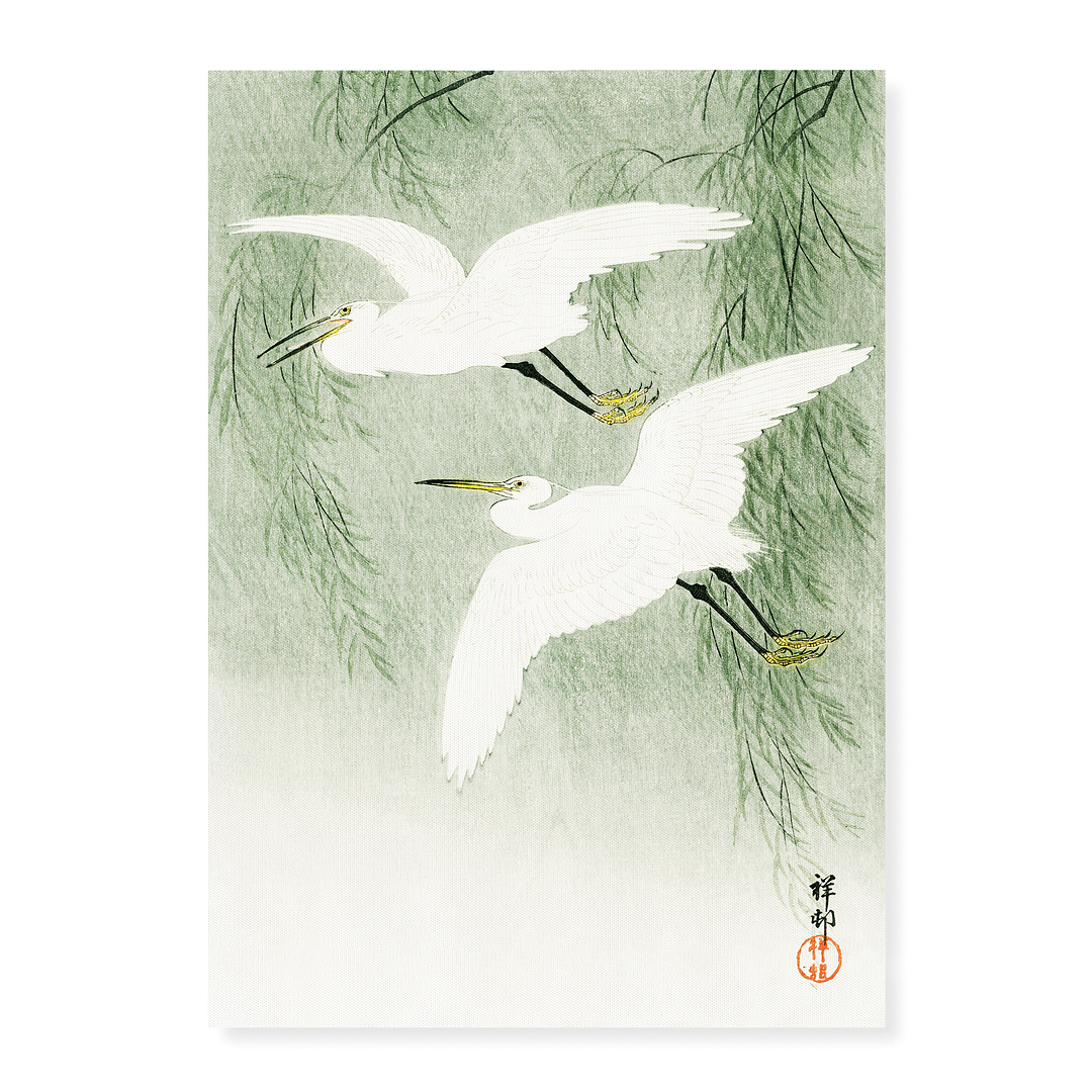 Little Egrets in flight by Ohara Koson - Art Print