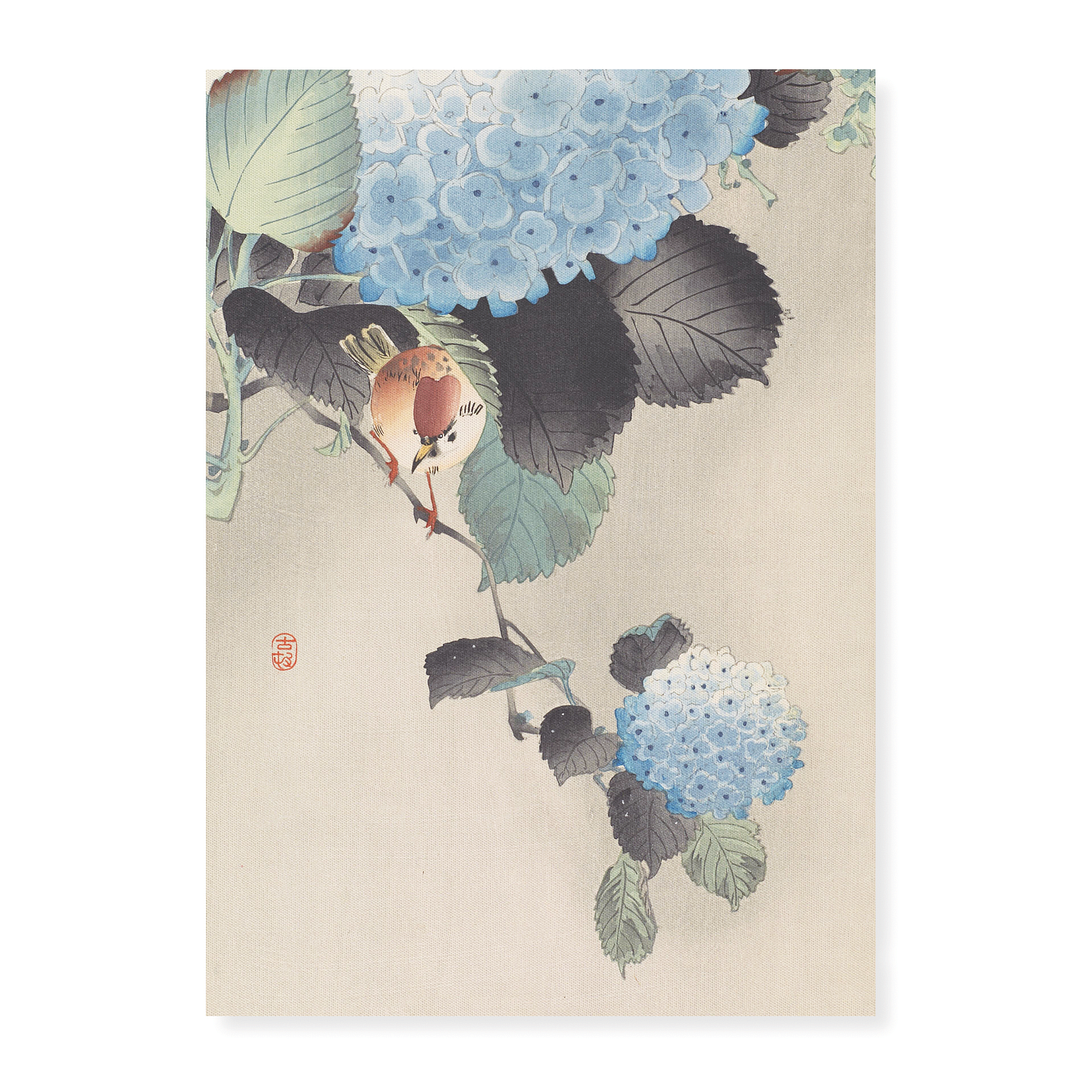 Sparrow and blue-white hortensia by Ohara Koson - Art Print