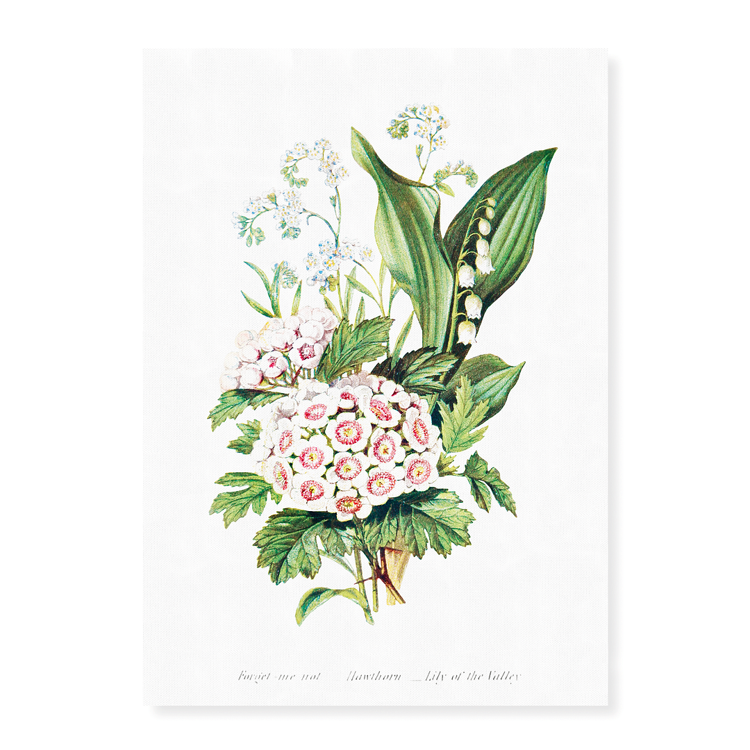 lily of the valley hawthorn flower Forget Me Not, Hawthorn and Lily of the Valley