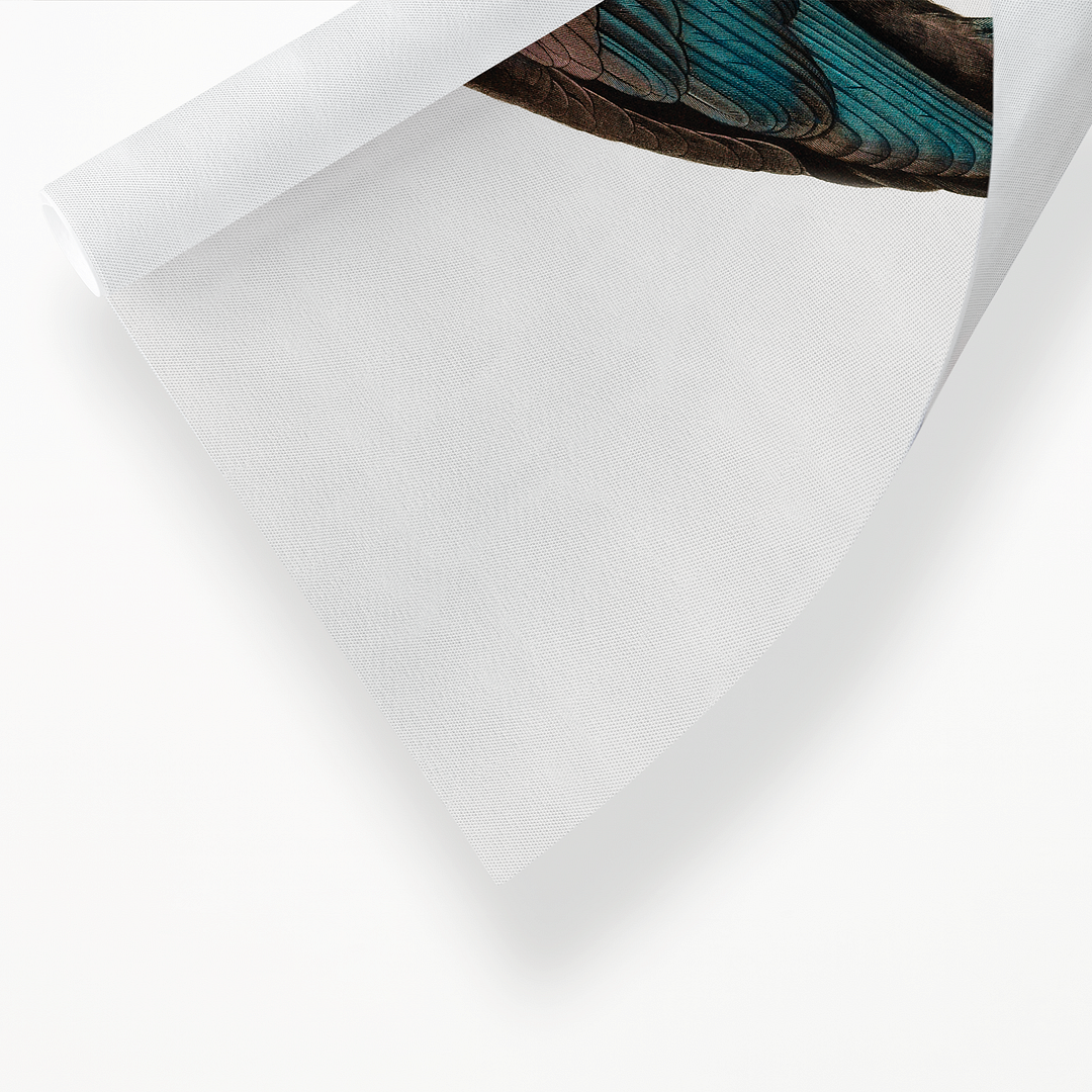 Black Parrot - Art Print