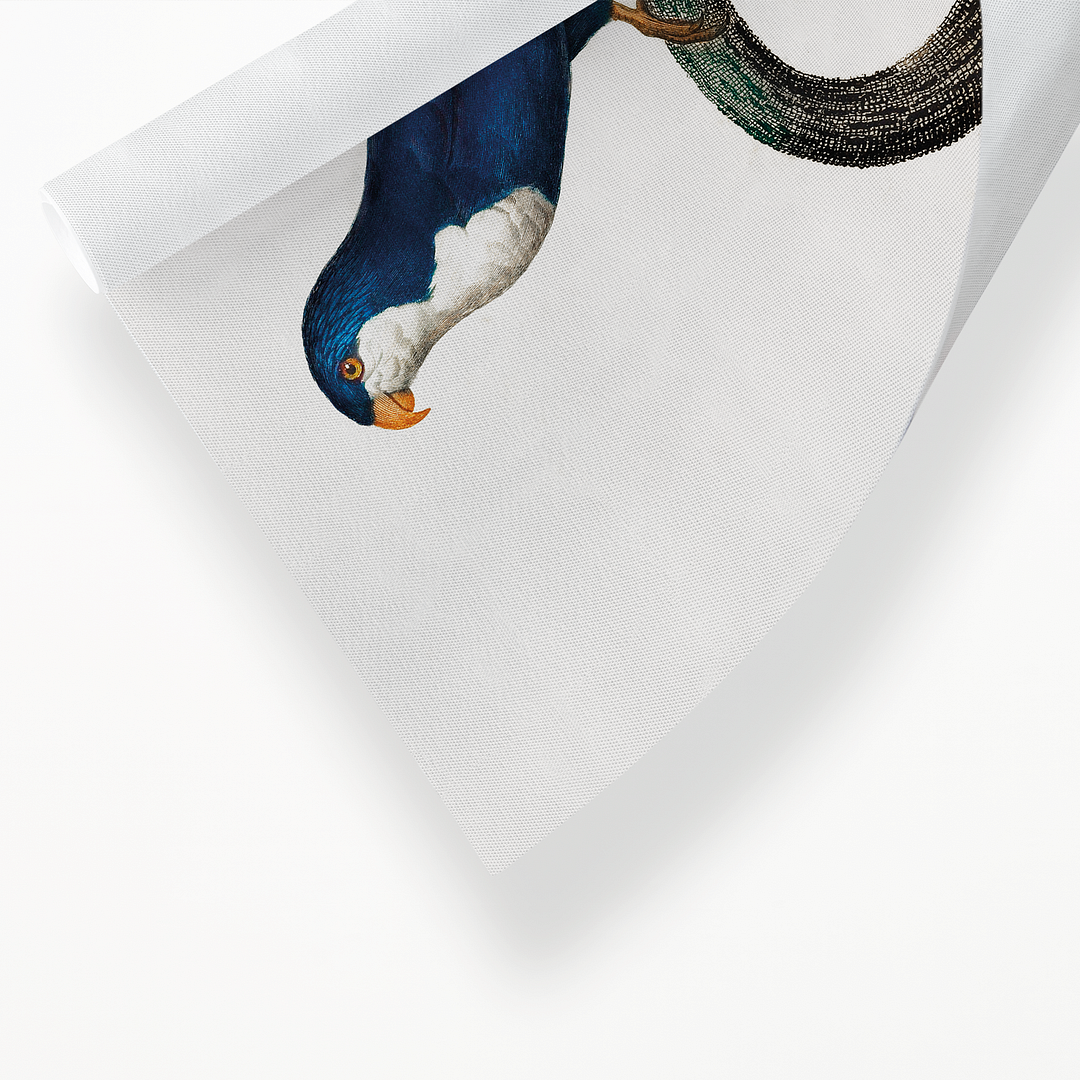 The Arimanon Parakeet - Art Print