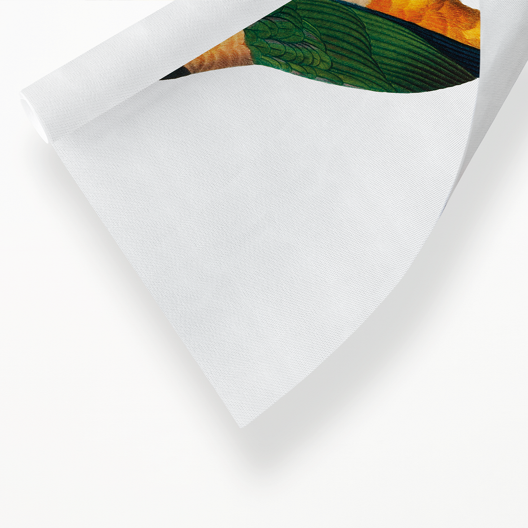The Black-Headed Parrot - Art Print