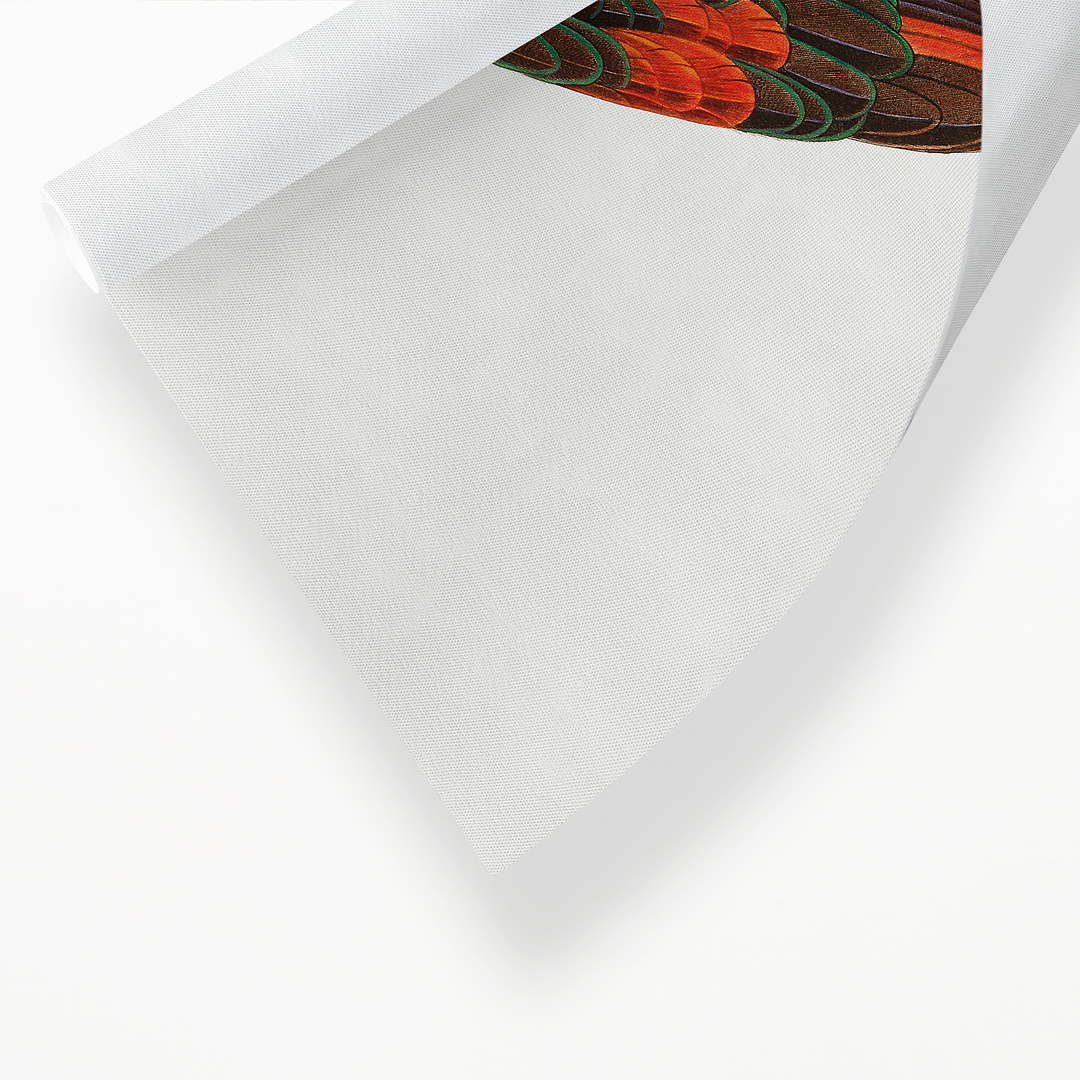 The Brown-Necked Parrot - Art Print