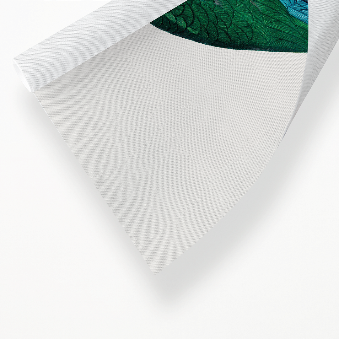 The Cuban Amazon, Amazona leucocephala - Art Print